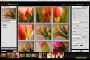 Photoshop Lightroom 1.0 enables professional photographers to import, manage and present large volumes of digital photographs, helping photographers spend more time behind the lens and less time at the computer