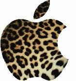 Due to iPhone, we will not be able to release Leopard at our Worldwide Developers Conference