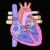 Job Strain heart angina